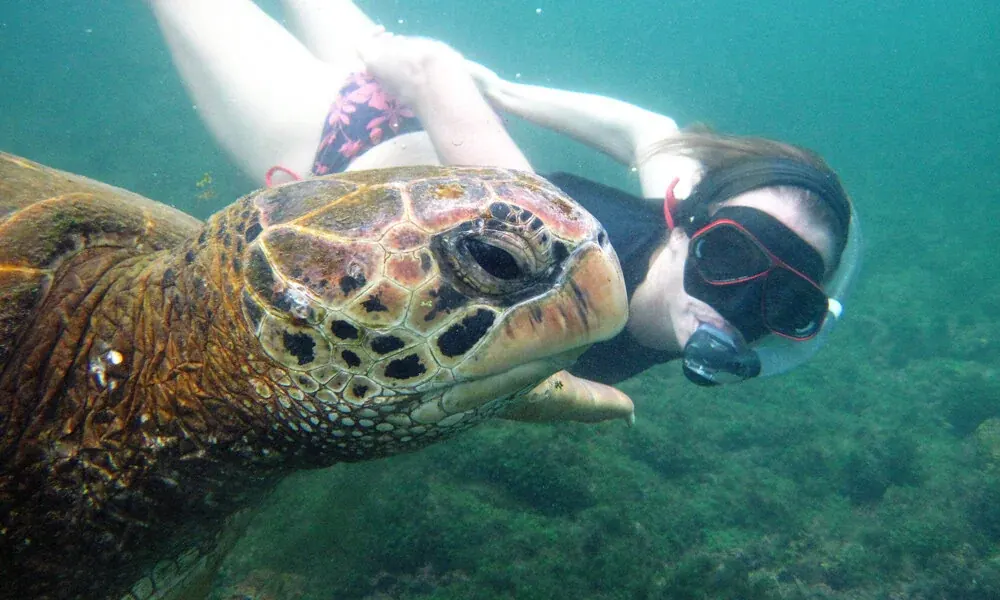 Snorkeling (Island Hopping)